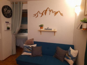 Rez de jardin / pieds des pistes